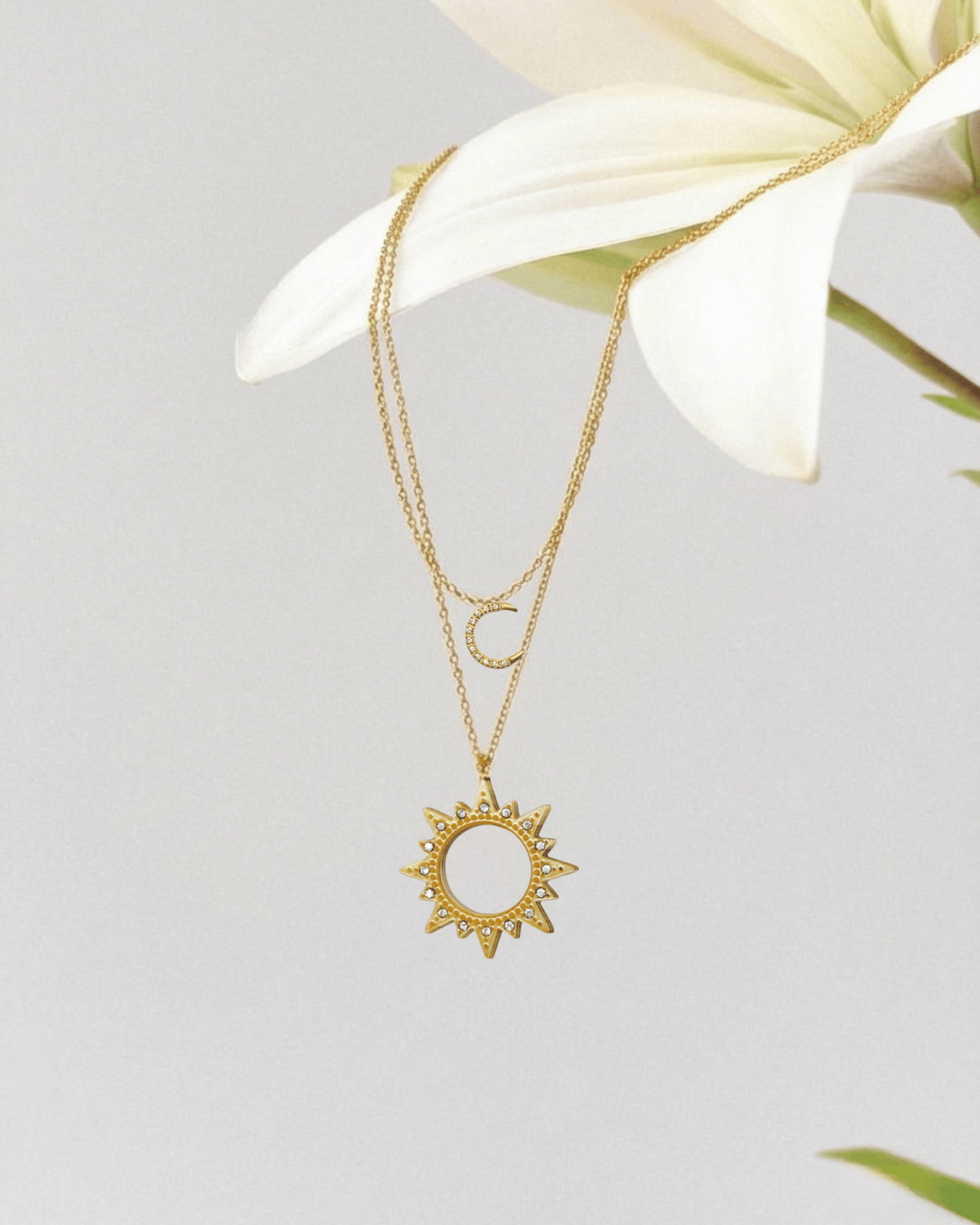 COLLIER Alliance