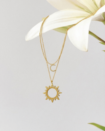 COLLIER Alliance