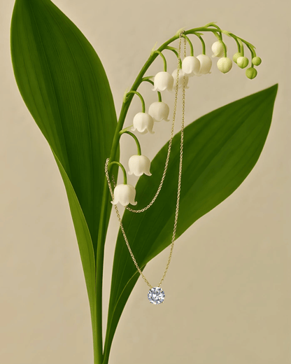 COLLIER Etoile du Nord
